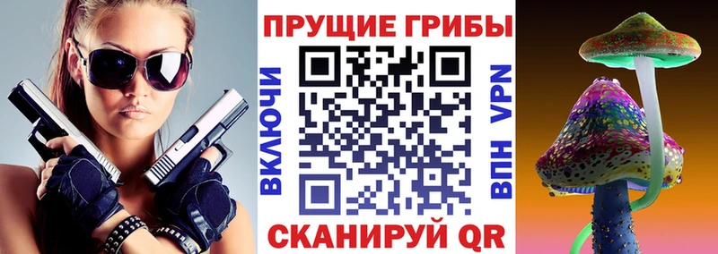 Галлюциногенные грибы Psilocybine cubensis  Омутнинск 